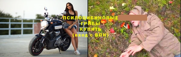 бошки Верхний Тагил